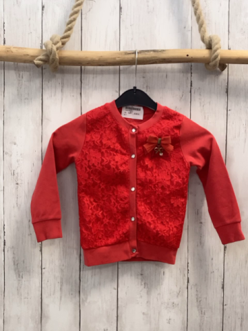   Sweatjacke  Gr. 104  blau Blumenstickerei Schleife 