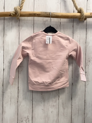 Eat Ants  Pullover  Gr. 86  rosa Eichhörnchen Vögel