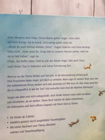   Buch Ein Himmel für Oma 