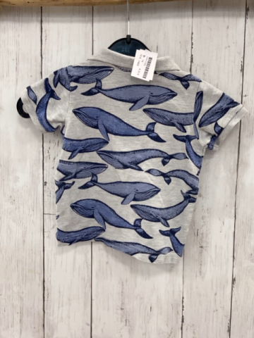 H&M T-Shirt Gr. 74  grau blaue Wale