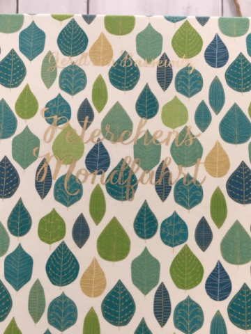  Buch Peterchens Mondfahrt