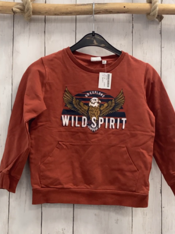 Name it  Pullover  Gr. 116  rost Adler weiße Schrift 