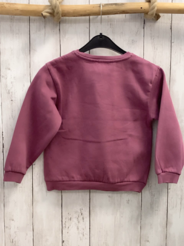   Pullover  Gr. 116  pflaume Hase mit Flügel + Glitzer 