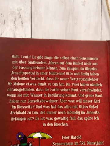 Scary Harry  Buch Ab durch die Tonne 