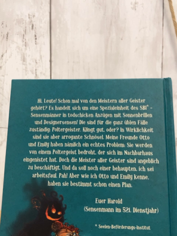 Scary Harry  Buch Meister aller Geister 