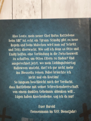 Scary Harry  Buch Hier scheiden sich die Geister 