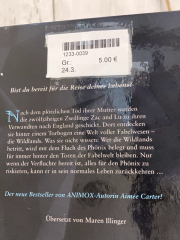  Buch Der Fluch des Phönix 