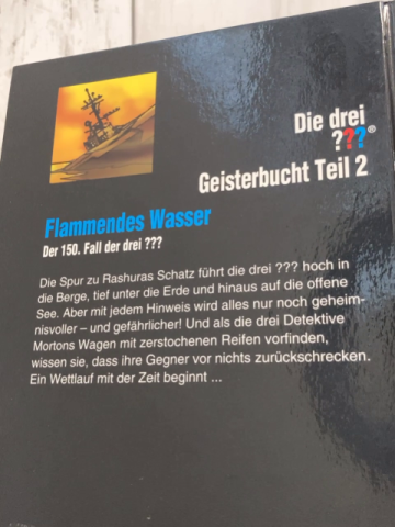 Die drei??? Buch Flammendes Wasser 