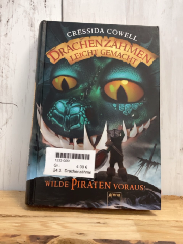 Drachenzähmen leicht gemacht Buch Wilde Piraten voraus 