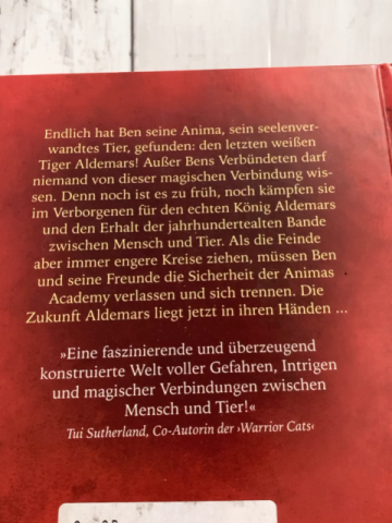 Animas Academy  Buch Der heimliche König von Aldemar 