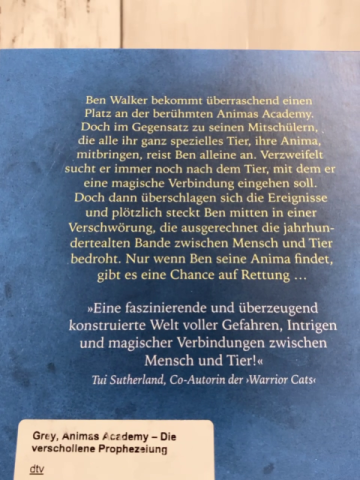 Animas Academy  Buch Die verschollene Prophezeiung 