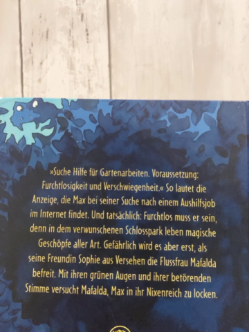 Gespensterpark  Buch Die Geheimtür zur Geisterwelt 