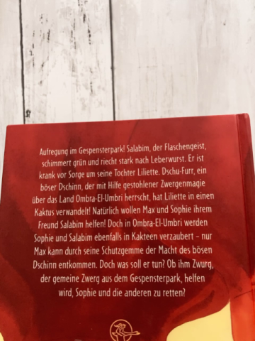 Gespensterpark  Buch Die Nacht des bösen Dschinn 