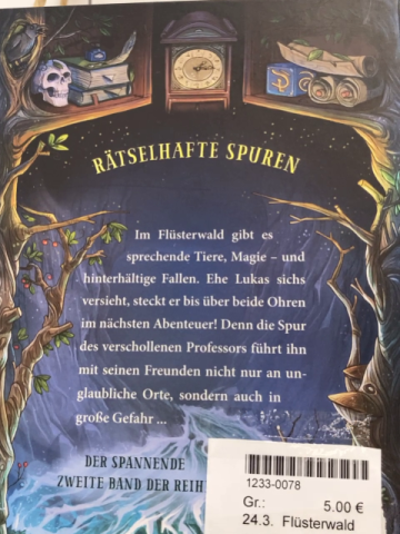 Flüsterwald  Buch Der verschollene Professor 