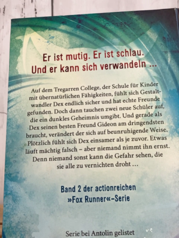 Fox Runner  Buch Der Ruf des Falken 