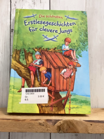   Buch Die schönsten Erstlesegeschichten für clevere Jungs 