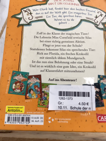 Schule der magischen Tiere  Buch Abgefahren 