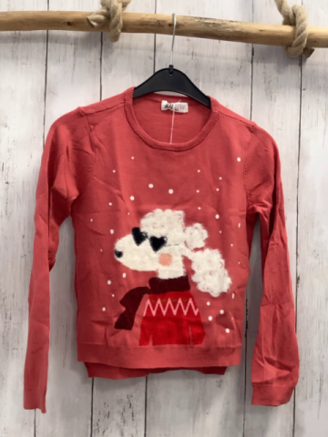 H&M  Pullover  Gr. 122/128  hellrot Strick weißer Plüschpudel mit schwarzer Brille 