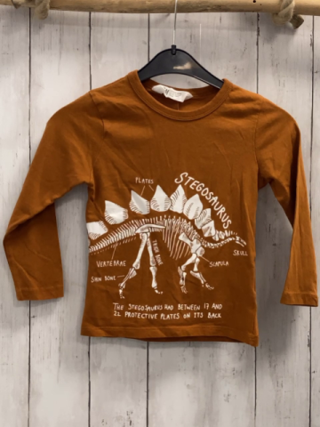 H&M  Langarmshirt  Gr. 98  ocker weißer Dino + weiße Schrift 
