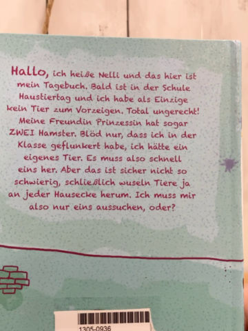   Buch Nelli und Prinzessin Die Leihmaus im Treppenhaus 