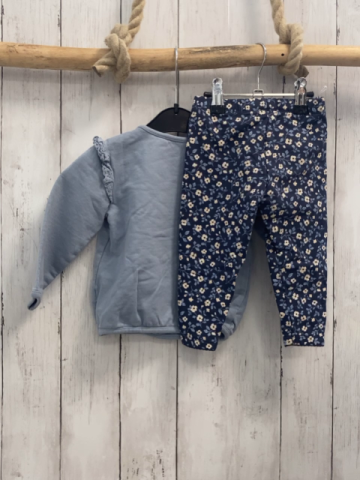 2tlg  Pullover + Leggings  Gr. 80  hellblau Schwäne + blau Blumen 