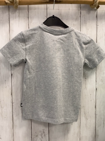 neu Molo  T-Shirt  Gr. 104  hellgrau bunte Surbretter NP 39,95 € 