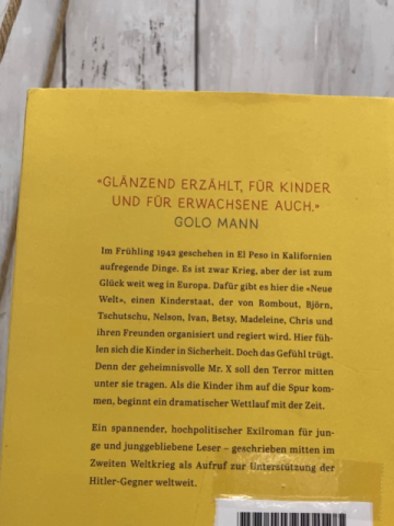   Buch Zehn jagen Mr X