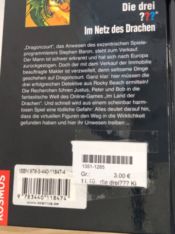 die drei??? Kids Buch im Netz des Drachen