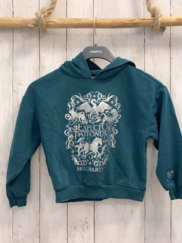Harry Potter  Pullover  Gr. 122/128  petrol silber Druck Harry Potter Kapuze 