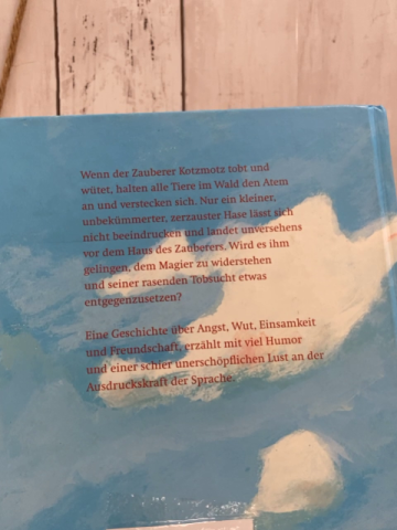  Buch Kotzmotz der Zauberer 