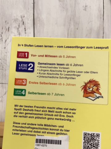 Leselöwen Buch Geschichten für starke Mädchen 