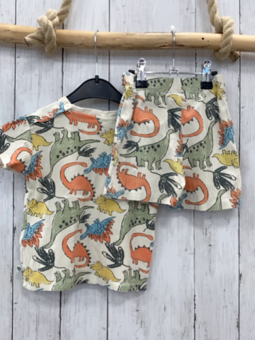 2tlg  T-Shirt + Shorts  Gr. 92  beige Rippen bunte Dinos 