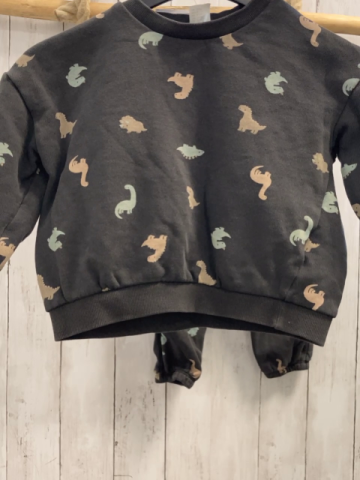 2tlg H&M  Pullover + Jogginghose  Gr. 98  grau bunte Dinos 