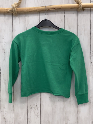 GAP Pullover  Gr. 134  grün weiße Disneyfiguren Schrift 