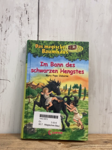 Magisches Baumhaus  Buch Im Bann des schwarzen Hengstes 