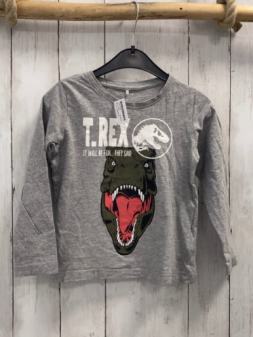Name it  Langarmshirt  Gr. 104  hellgrau Dinokopf Schrift 