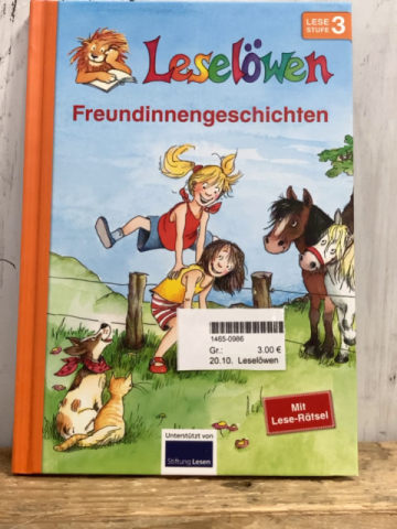 Leselöwen  Buch Freundinnengeschichten