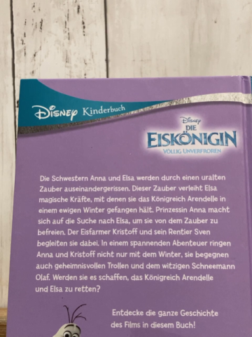  Buch Die Eiskönigin Ein zauberhaftes Abenteuer 