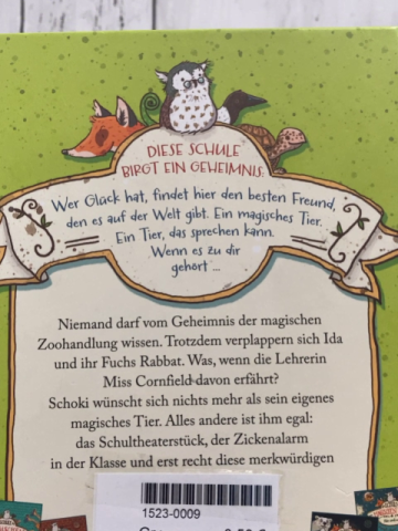 Schule der magischen Tiere  Buch Voller Löcher 