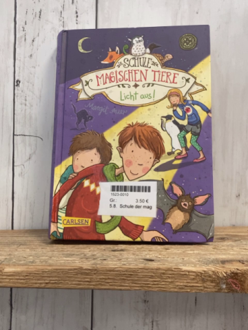 Schule der magischen Tiere  Buch Licht aus 