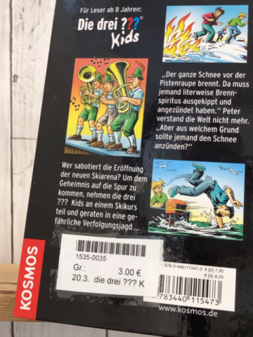 die drei ??? Kids Buch Brennendes Eis