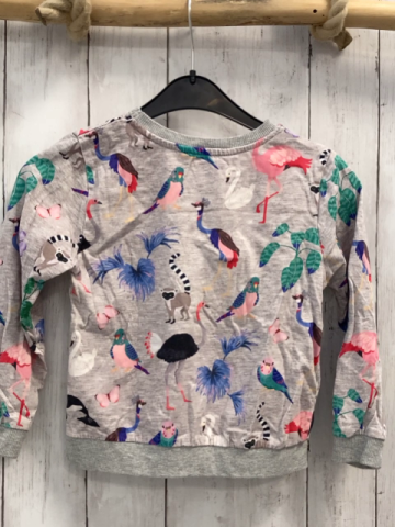H&M Pullover  Gr. 110  hellgrau bunte Tiere + Blätter 