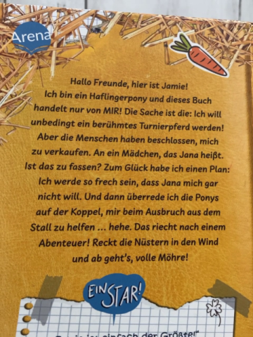  Buch Jana Hoch & Pony Jamie 