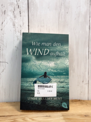  Taschenbuch Wie man den Wind aufhält 