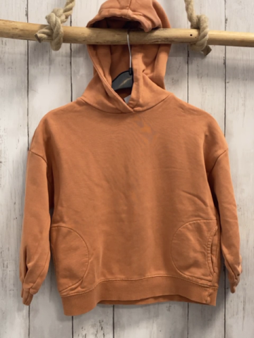 Zara  Pullover  Gr. 110  curry Kapuze 