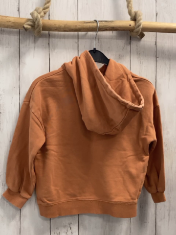 Zara  Pullover  Gr. 110  curry Kapuze 