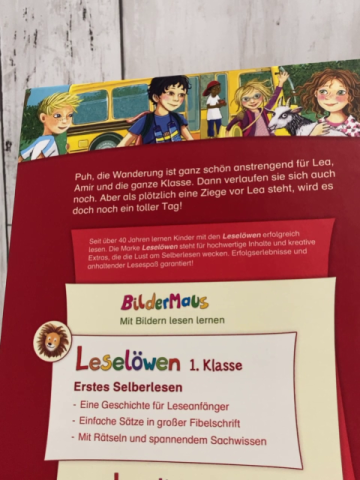 Leselöwen  Buch Der allerbeste Schulausflug 