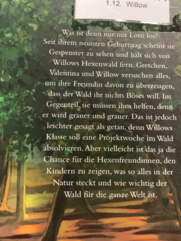 Willow  Buch Ein Mädchen namens Willow Flügelrauschen 