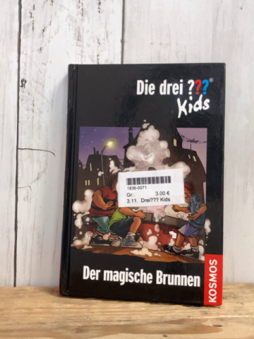 Drei??? Kids  Buch Der magische Brunnen