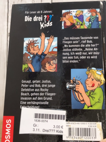 Drei??? Kids  Buch Invasion der Fliegen
